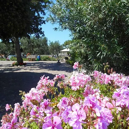 Halima בית נופש