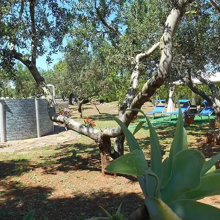 בית נופש Halima